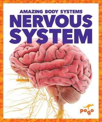 Système nerveux - Nervous System