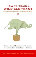 Comment dresser un éléphant sauvage : Et autres aventures en pleine conscience - How to Train a Wild Elephant: And Other Adventures in Mindfulness