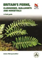 Les fougères de Grande-Bretagne : Un guide de terrain pour les mousses, les chenilles, les prêles et les fougères de Grande-Bretagne et d'Irlande - Britain's Ferns: A Field Guide to the Clubmosses, Quillworts, Horsetails and Ferns of Great Britain and Ireland