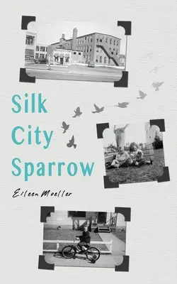 Le moineau de la ville de la soie - Silk City Sparrow