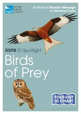 Rspb Id Spotlight - Oiseaux de proie - Rspb Id Spotlight - Birds of Prey