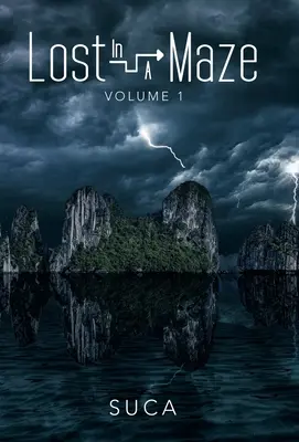 Perdu dans un labyrinthe : Volume I - Lost in a Maze: Volume I