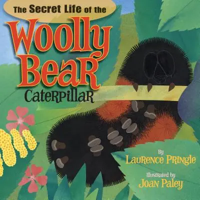 La vie secrète de la chenille de l'ours laineux - The Secret Life of the Woolly Bear Caterpillar