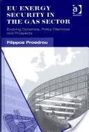 Sécurité énergétique de l'UE dans le secteur du gaz : Dynamique évolutive, dilemmes politiques et perspectives - Eu Energy Security in the Gas Sector: Evolving Dynamics, Policy Dilemmas and Prospects