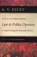 Lectures on the Relation Between Law and Public Opinion in England During the Nineteenth Century (Conférences sur la relation entre le droit et l'opinion publique en Angleterre au cours du dix-neuvième siècle) - Lectures on the Relation Between Law and Public Opinion in England During the Nineteenth Century