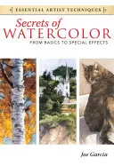 Les secrets de l'aquarelle : des bases aux effets spéciaux - Secrets of Watercolor: From Basics to Special Effects