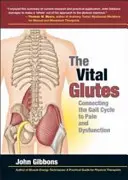 Vital Glutes - Relier le cycle de marche à la douleur et au dysfonctionnement - Vital Glutes - Connecting the Gait Cycle to Pain and Dysfunction