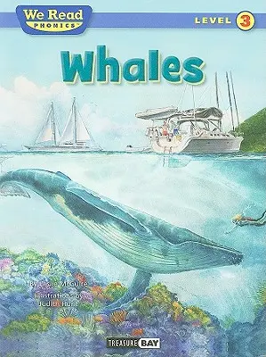Baleines - Whales