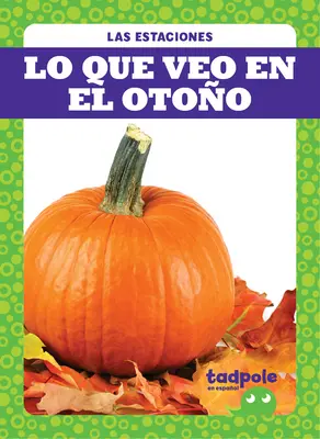 Lo Que Veo En El Otoo (Ce que je vois en automne) - Lo Que Veo En El Otoo (What I See Fall)