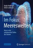 Im Fokus : Meereswelten : Voyage dans les profondeurs inconnues de l'Ozeane - Im Fokus: Meereswelten: Reise in Die Unbekannten Tiefen Der Ozeane