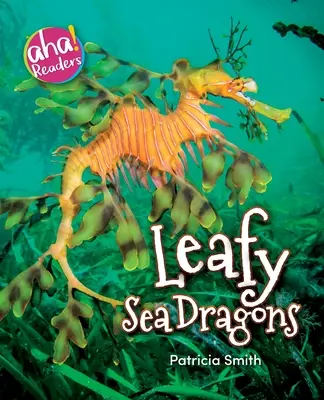 Dragons de mer à feuilles - Leafy Sea Dragons