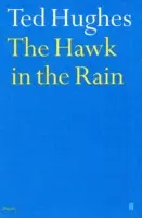 Faucon sous la pluie - Hawk in the Rain