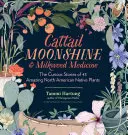 Cattail Moonshine & Milkweed Medicine : Les histoires curieuses de 43 étonnantes plantes indigènes d'Amérique du Nord - Cattail Moonshine & Milkweed Medicine: The Curious Stories of 43 Amazing North American Native Plants