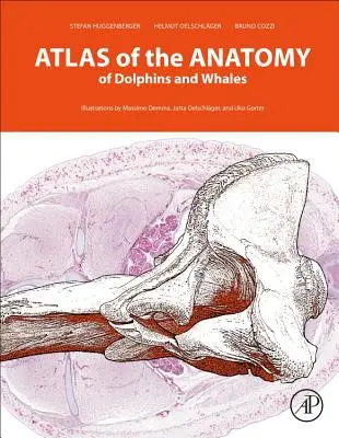 Atlas de l'anatomie des dauphins et des baleines - Atlas of the Anatomy of Dolphins and Whales