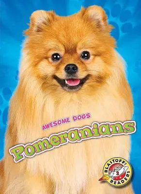 Les Poméraniens - Pomeranians