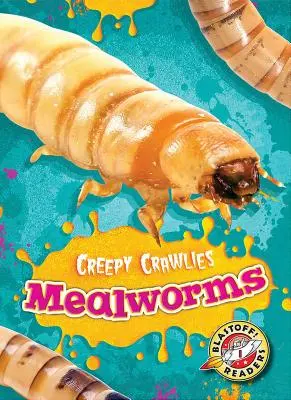 Vers de farine - Mealworms