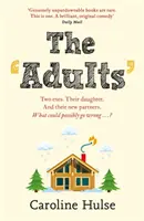 Adultes - Deux ex. Leur fille. Et leurs nouveaux partenaires. Qu'est-ce qui peut bien aller de travers ? - Adults - Two exes. Their daughter. And their new partners. What could possibly go wrong?