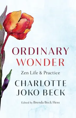 Merveille ordinaire : La vie et la pratique du zen - Ordinary Wonder: Zen Life and Practice