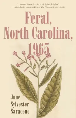 Feral, Caroline du Nord, 1965 - Feral, North Carolina, 1965