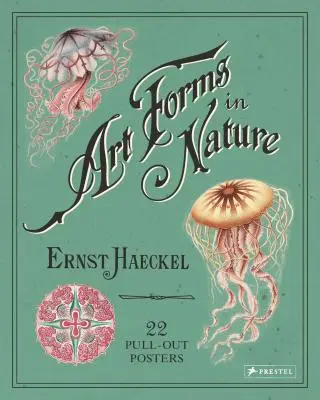 Les formes d'art dans la nature : 22 affiches à détacher - Art Forms in Nature: 22 Pull-Out Posters