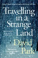 Travelling in a Strange Land - Gagnant du roman irlandais de l'année du groupe Kerry - Travelling in a Strange Land - Winner of the Kerry Group Irish Novel of the Year