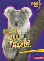 Rencontre avec un bébé Koala - Meet a Baby Koala