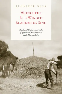 Là où chantent les merles à ailes rouges : les Akimel O'Odham et les cycles de transformation agricole dans le bassin de Phoenix - Where the Red-Winged Blackbirds Sing: The Akimel O'Odham and Cycles of Agricultural Transformation in the Phoenix Basin