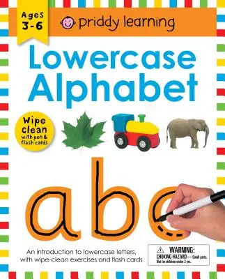 Cahier d'exercices Wipe Clean : Alphabet minuscule (reliure spirale fermée) : 3-6 ans ; avec stylo et cartes flash - Wipe Clean Workbook: Lowercase Alphabet (Enclosed Spiral Binding): Ages 3-6; With Pen & Flash Cards