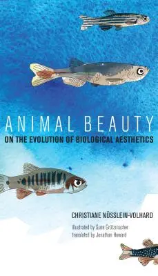 La beauté animale : L'évolution de l'esthétique biologique - Animal Beauty: On the Evolution of Biological Aesthetics