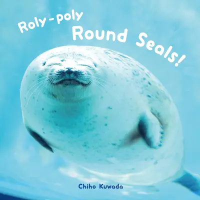 Phoques ronds Roly-Poly ! - Roly-Poly Round Seals!