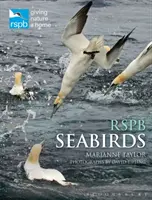 Rspb Oiseaux de mer - Rspb Seabirds