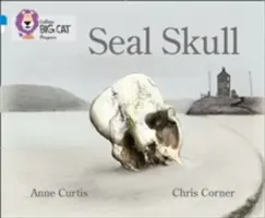 Crâne de phoque - Seal Skull