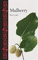 Mûrier - Mulberry
