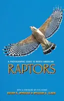 Guide photographique des rapaces d'Amérique du Nord - A Photographic Guide to North American Raptors