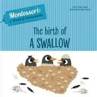 Naissance d'une hirondelle - Birth of a Swallow