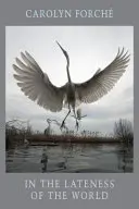 Dans le retard du monde - In the Lateness of the World