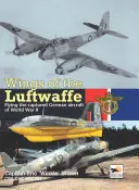 Les ailes de la Luftwaffe : Piloter les avions allemands capturés pendant la Seconde Guerre mondiale - Wings of the Luftwaffe: Flying the Captured German Aircraft of WWII