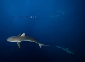 L'appel du bleu - Call of the Blue