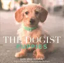 Les chiots dogistes - The Dogist Puppies