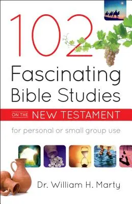 102 études bibliques fascinantes sur le Nouveau Testament - 102 Fascinating Bible Studies on the New Testament