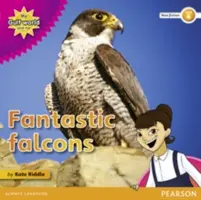 Mon Monde du Golfe et moi, niveau 4, lecteur d'ouvrages non fictionnels : Les faucons fantastiques - My Gulf World and Me Level 4 non-fiction reader: Fantastic falcons