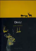 Le cerf - Deer