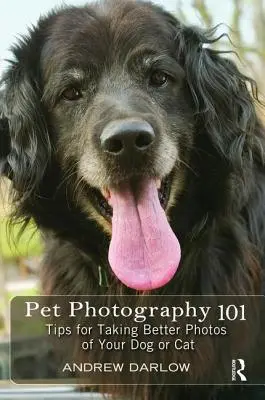 Pet Photography 101 : Tips for Taking Better Photos of Your Dog or Cat (Photographie des animaux de compagnie 101 : Conseils pour prendre de meilleures photos de votre chien ou de votre chat) - Pet Photography 101: Tips for Taking Better Photos of Your Dog or Cat