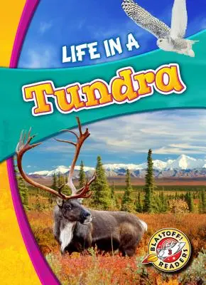 La vie dans la toundra - Life in a Tundra