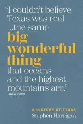 Big Wonderful Thing : une histoire du Texas - Big Wonderful Thing: A History of Texas