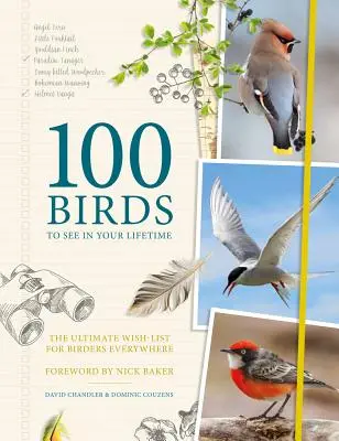 100 Birds to See in Your Lifetime : L'ultime liste de souhaits pour tous les ornithologues - 100 Birds to See in Your Lifetime: The Ultimate Wish-List for Birders Everywhere