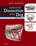 Guide de la dissection du chien - Guide to the Dissection of the Dog