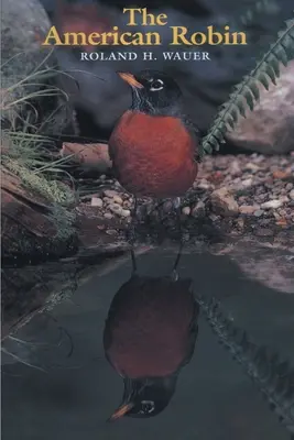 Le merle d'Amérique - The American Robin