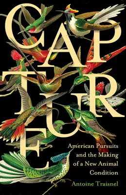 La capture : Les poursuites américaines et la création d'une nouvelle condition animale - Capture: American Pursuits and the Making of a New Animal Condition