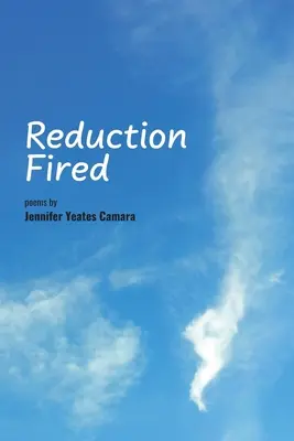 Reduction Fired : poèmes concis, calmes et intenses exprimés sur des scènes vibrantes de la nature - des réflexions qui se répercutent dans l'esprit. - Reduction Fired: concise, quiet, and intense poems voiced over vibrant scenes of nature - reflections to ripple through the mind